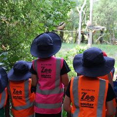 Thurs 3rd July - Zoo Detectives - SHP