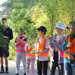 Mon 7th July - Zoo Keeper Apprentice - SHP