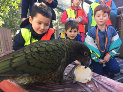 Tuesday 21st January: Birds of a Feather