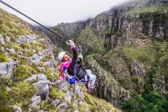 Cape Canopy Tour: Half Day Zipline and 4x4 Adventure - with Cape Town pickup