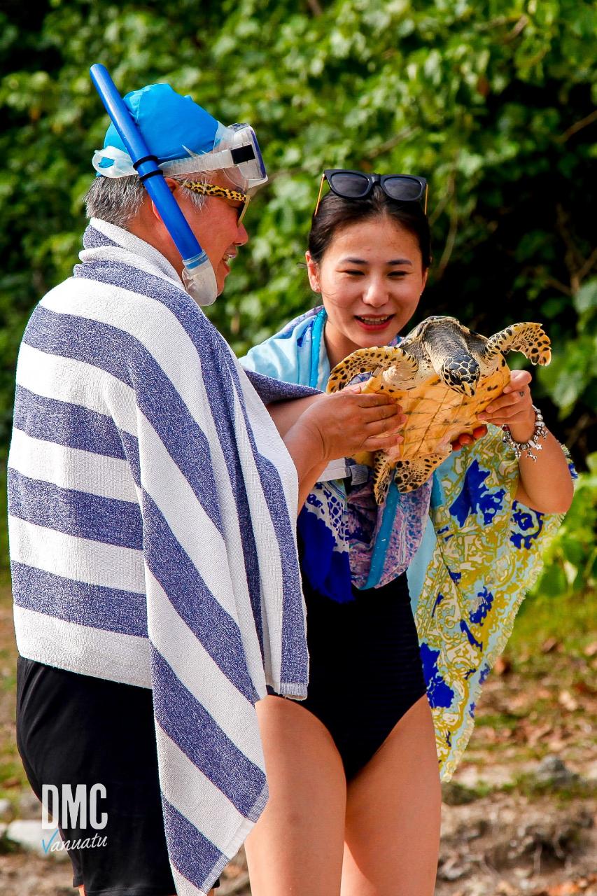 Turtle Sanctuary by Helicopter