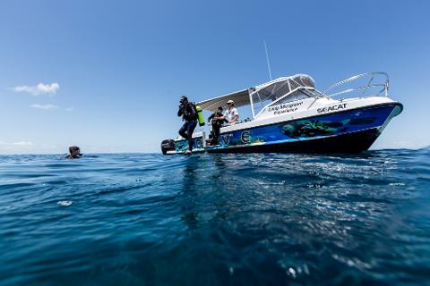 zzz 2022 Adventure Outer Reef Double Dive Experience - VIC & WEB - Lady ...