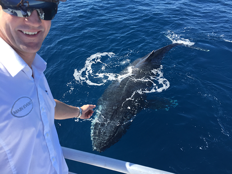 zzz 2022 1/2 Day Whale Watching Tour Departing Bundaberg Port Marina