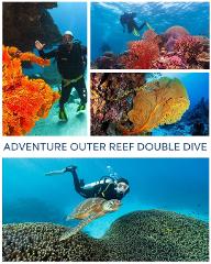 ADVENTURE OUTER REEF DOUBLE TANK DIVE - LADY MUSGRAVE ISLAND