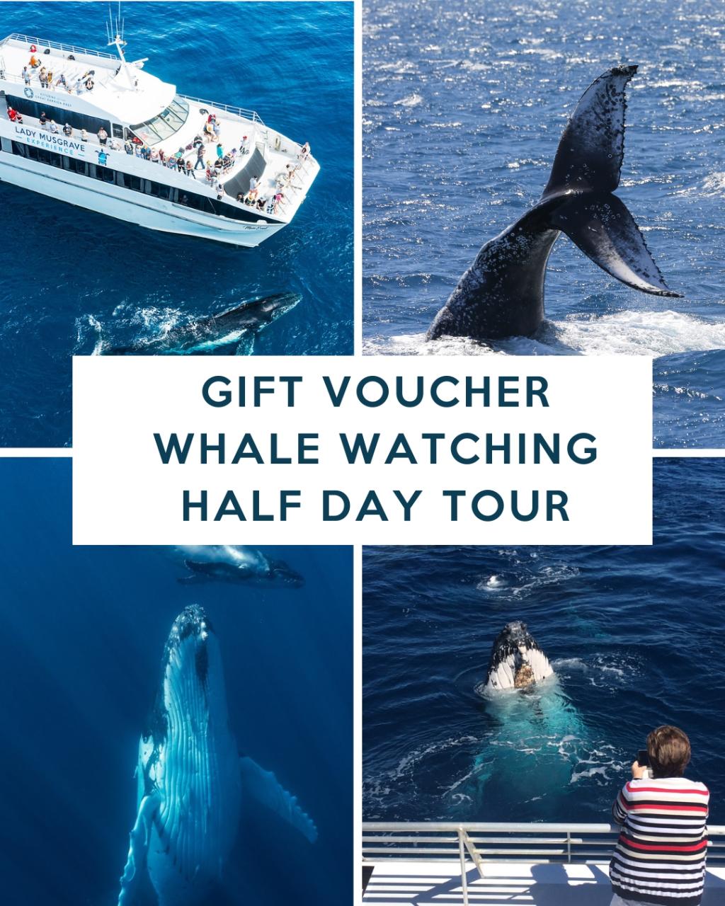 GIFT VOUCHER - WHALE WATCHING HALF DAY TOUR 2026