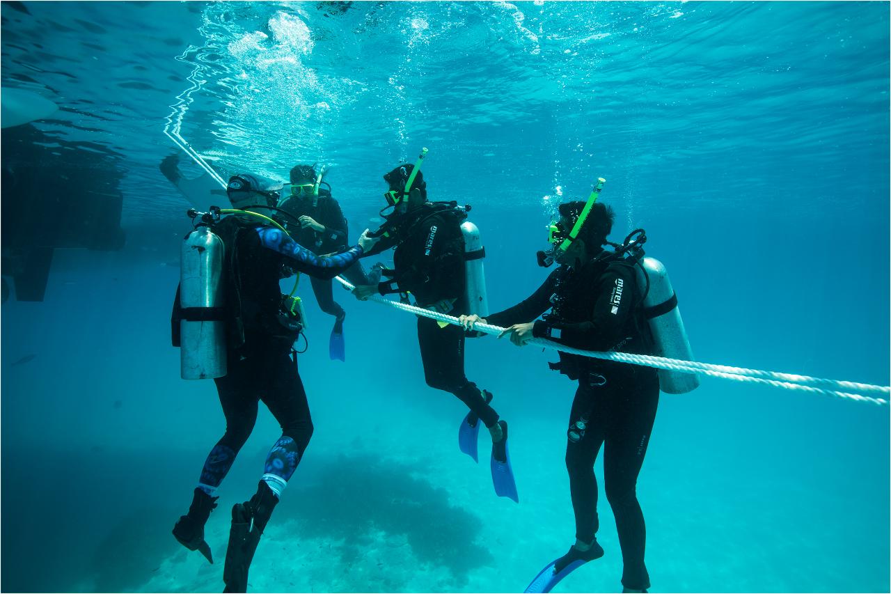 Open Water Scuba Diving Course (eLearning) 