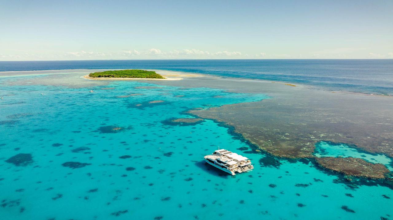 Reefside Sounds Live Music Event at Lady Musgrave Island Lady