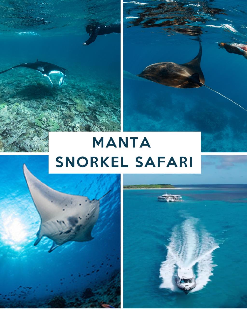 MANTA SNORKEL SAFARI - LADY MUSGRAVE OUTER REEF (MAY - OCT)