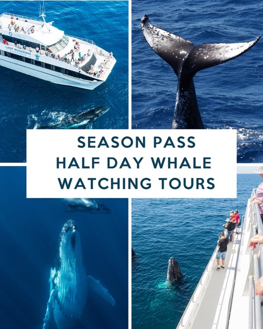WHALE WATCHING SEASON PASS JUL - OCT 2026