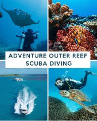 OUTER REEF DOUBLE TANK SCUBA DIVE - LADY MUSGRAVE ISLAND 