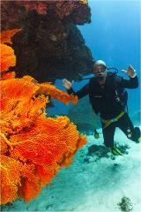 Outer Reef Double Dive Adventure at Lady Musgrave Island 