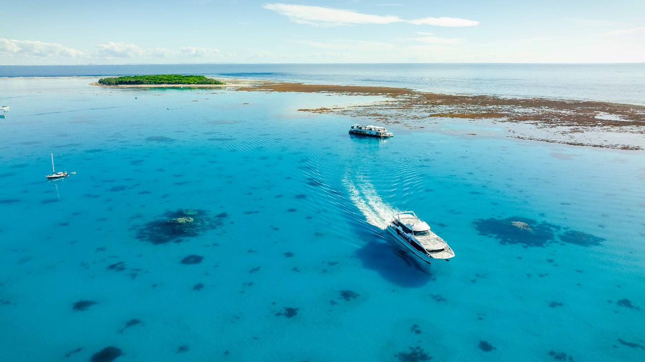 LADY MUSGRAVE ISLAND DAY TOUR - MAIN EVENT & REEF SANCTUARY PONTOON ...