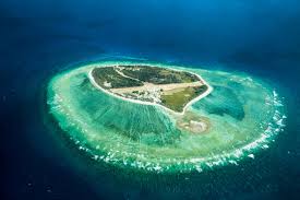 Lady Elliot Island Great Barrier Reef Day Trip Travel Voucher