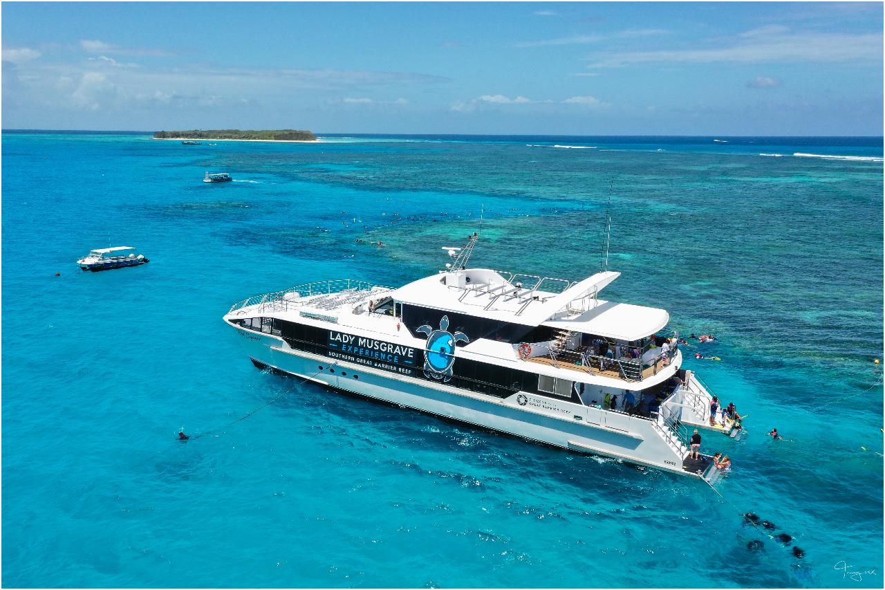 Lady Musgrave Island Full Day Tour