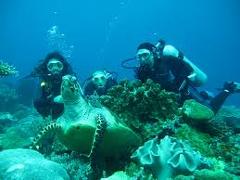 DISCOVER SCUBA DIVE at COOK ISLAND MARINE RESERVE