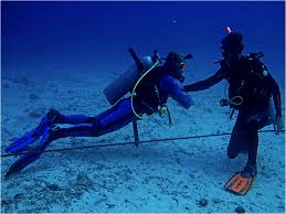 MASTER SCUBA DIVER COURSE