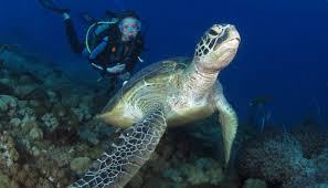 ADVANCE OPEN WATER DIVE COURSE