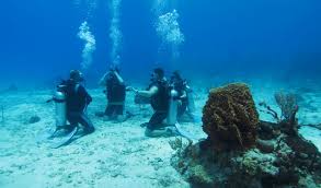 MASTER SCUBA DIVER COURSE