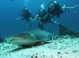 MASTER SCUBA DIVER COURSE