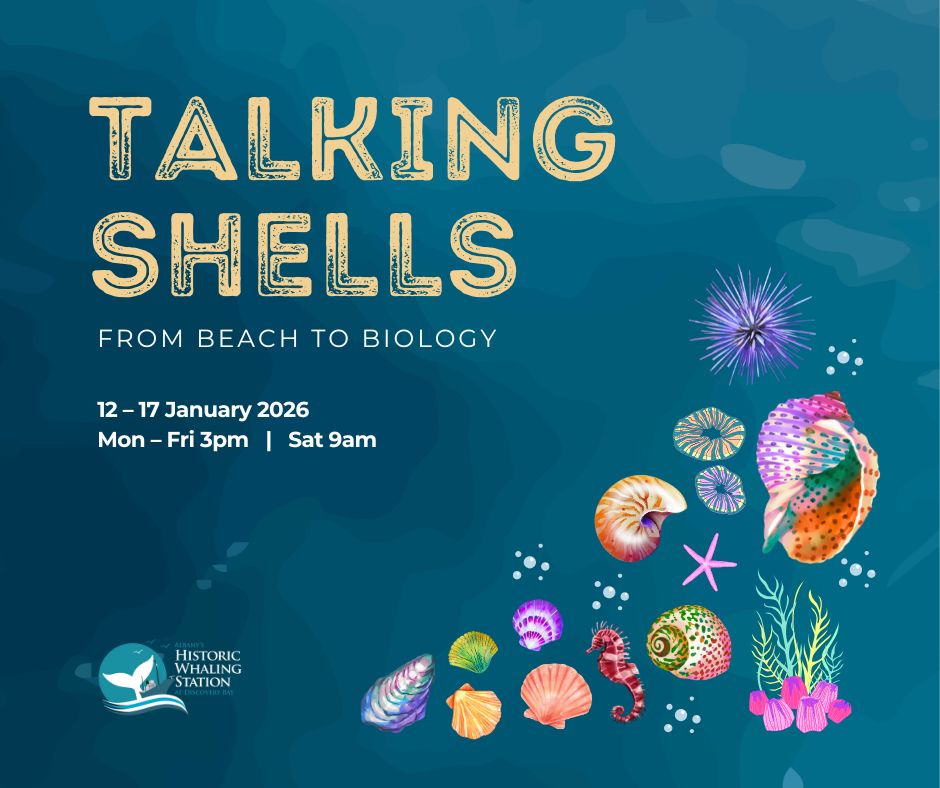 Talking Shells: From Beach to Biology - Free Event