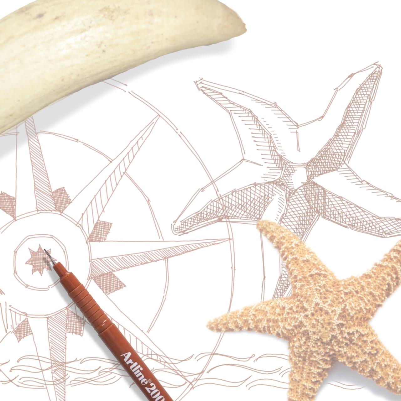 Draw like a Scrimshander - A beginner’s guide to Scrimshaw Art Workshop