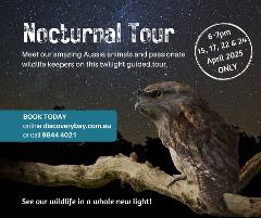 Nocturnal Wildlife Tour