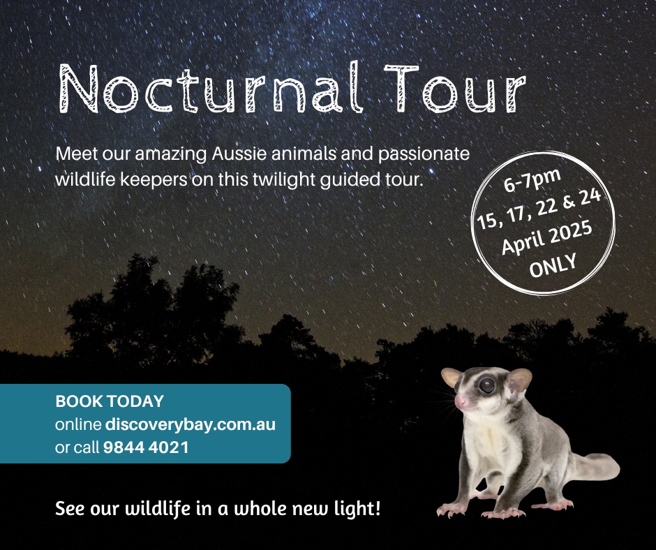 Nocturnal Wildlife Tour