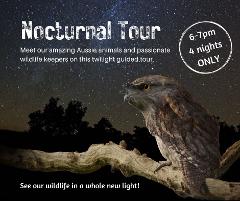 Nocturnal Wildlife Tour