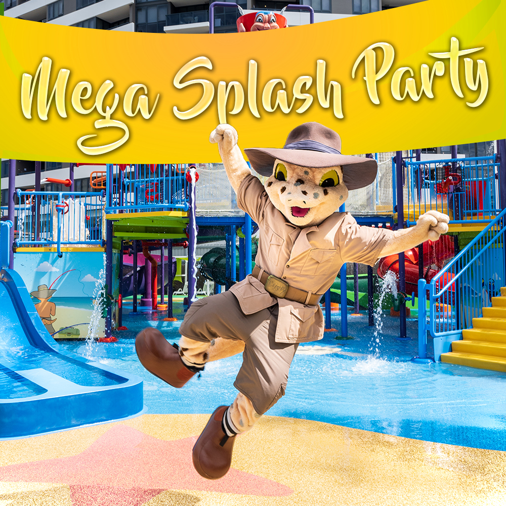 Mega Splash Waterpark Party (up to 40 Kids)