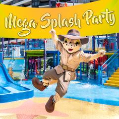 Mega Splash Waterpark Party (up to 40 Kids)