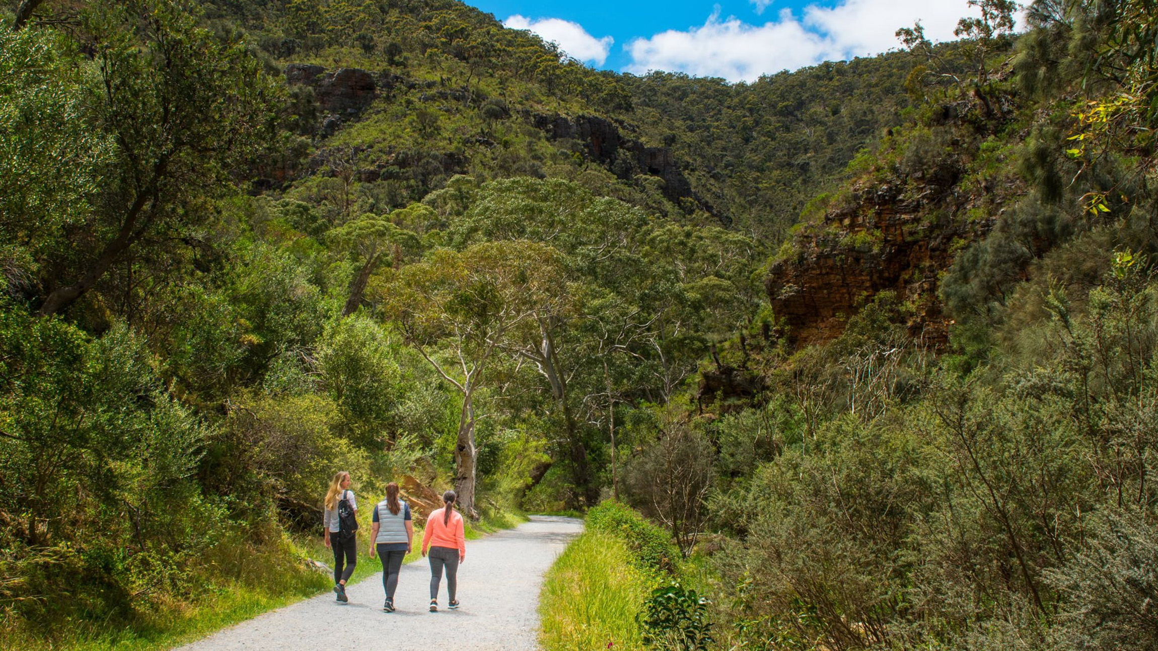 Morialta Wilderness and Wildlife Hike