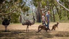 Cleland Wildlife Park Experience with Steub Trail Hike to Mount Lofty Summit