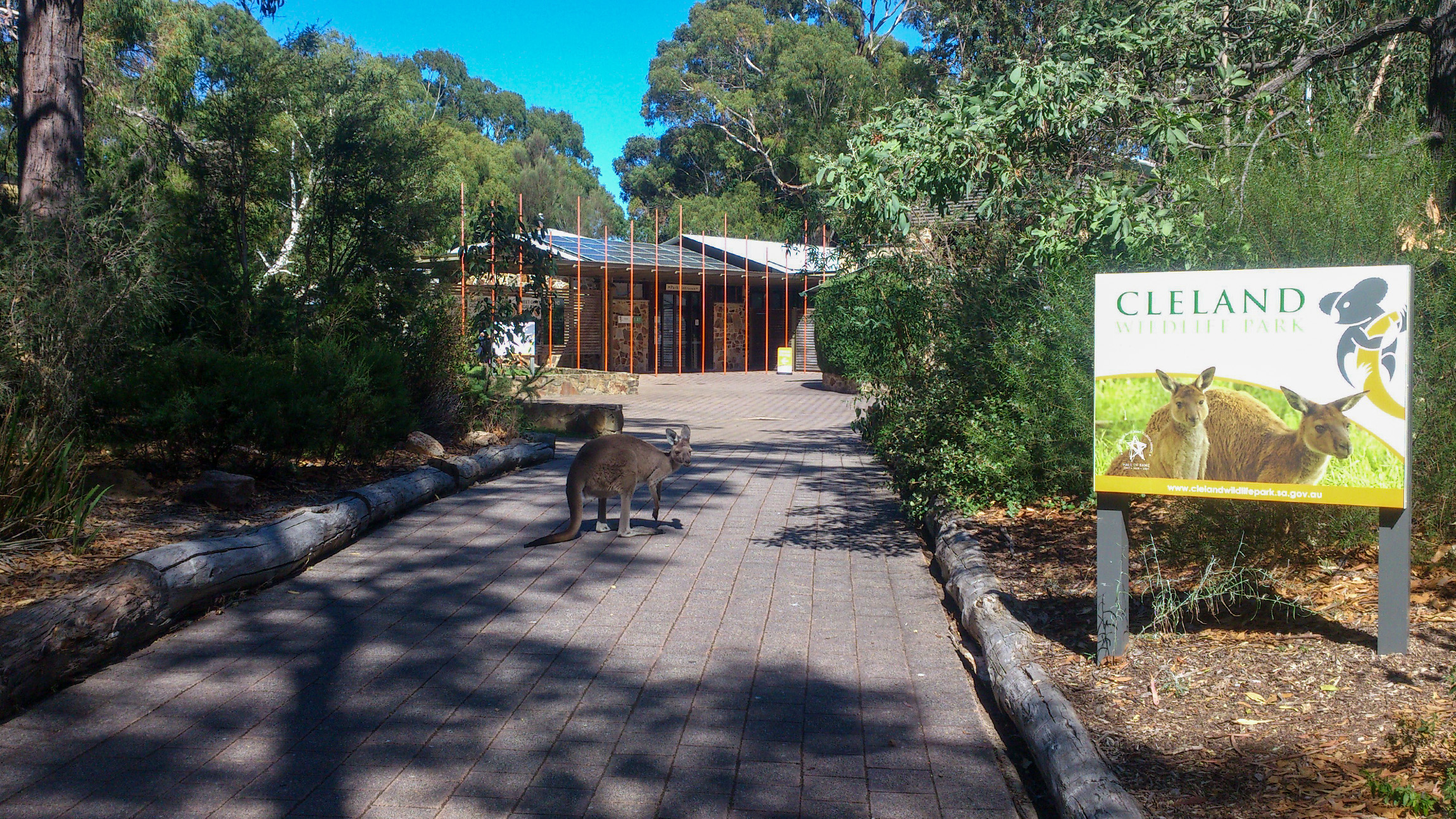 Cleland Hike and Wildlife