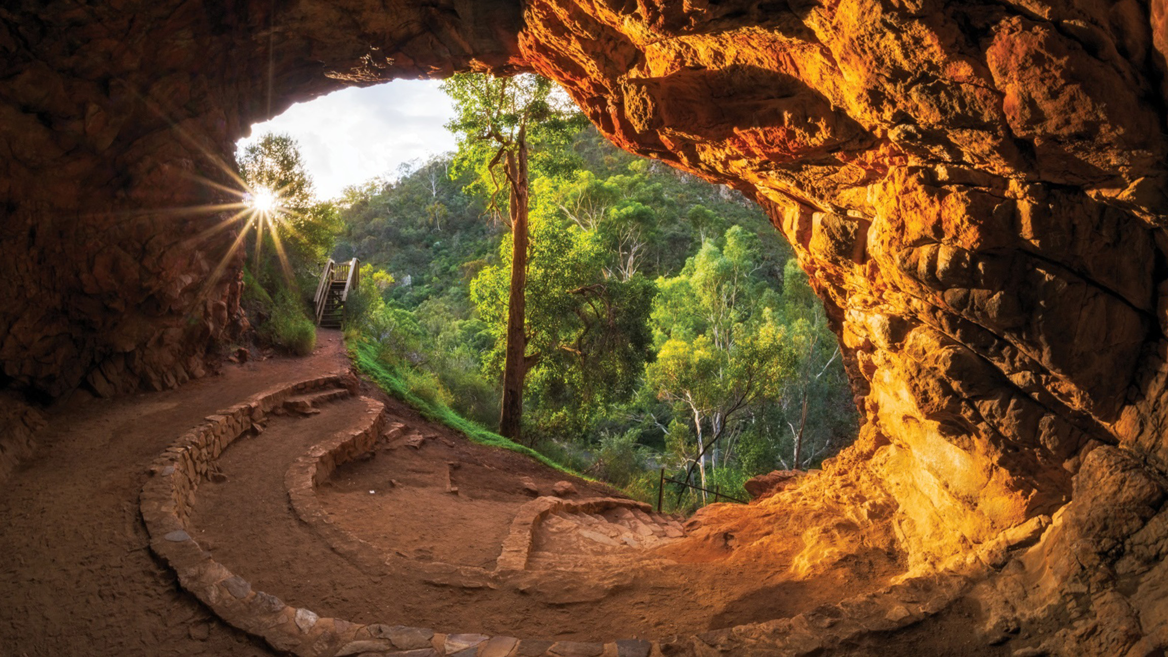 Morialta Wilderness and Wildlife Hike