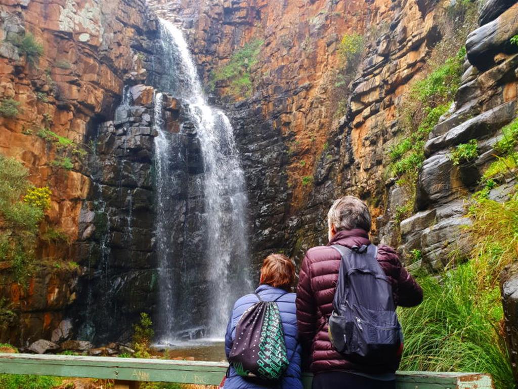 Waterfall Gully Hike Gift Card