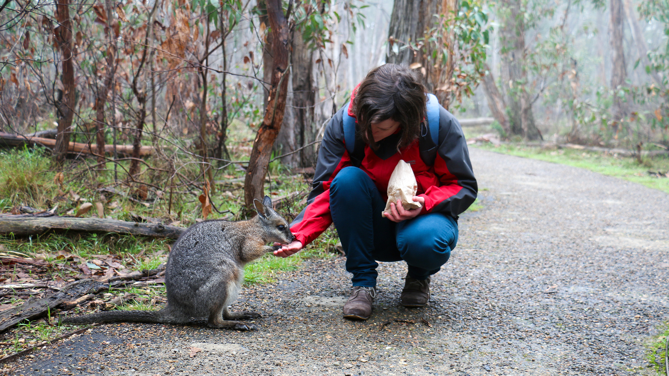 Cleland Hike and Wildlife