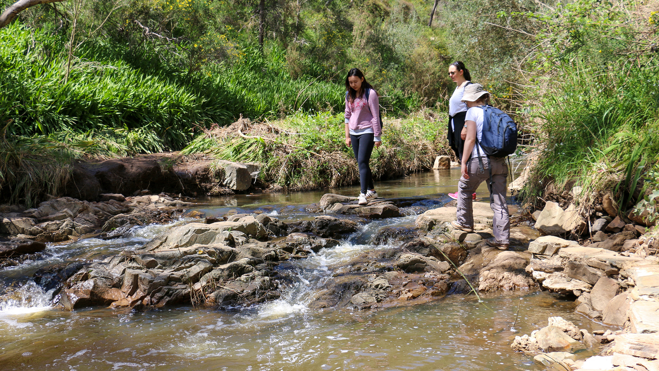 Morialta Wilderness and Wildlife Hike
