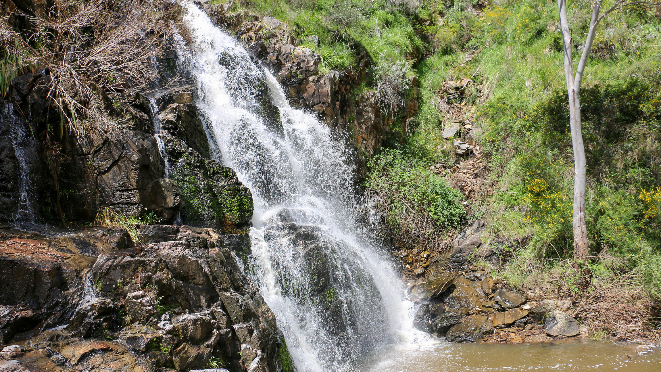 Morialta Wilderness and Wildlife Hike