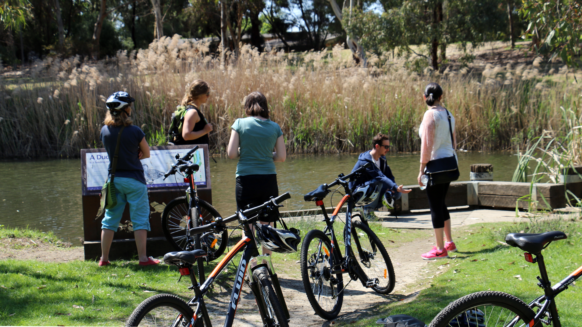 Adelaide City to Sea Bike Tour