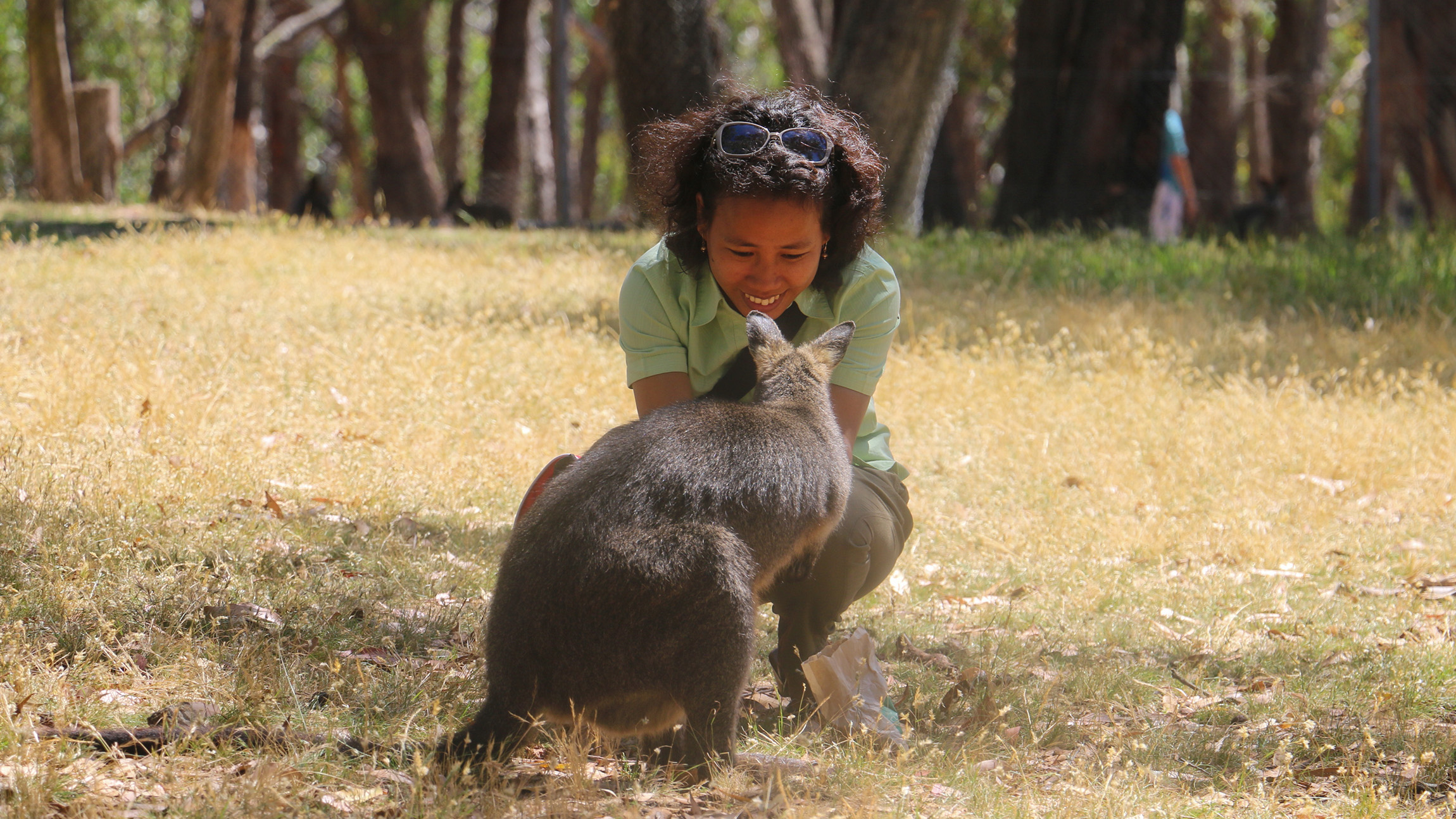 Cleland Wildlife Park Experience