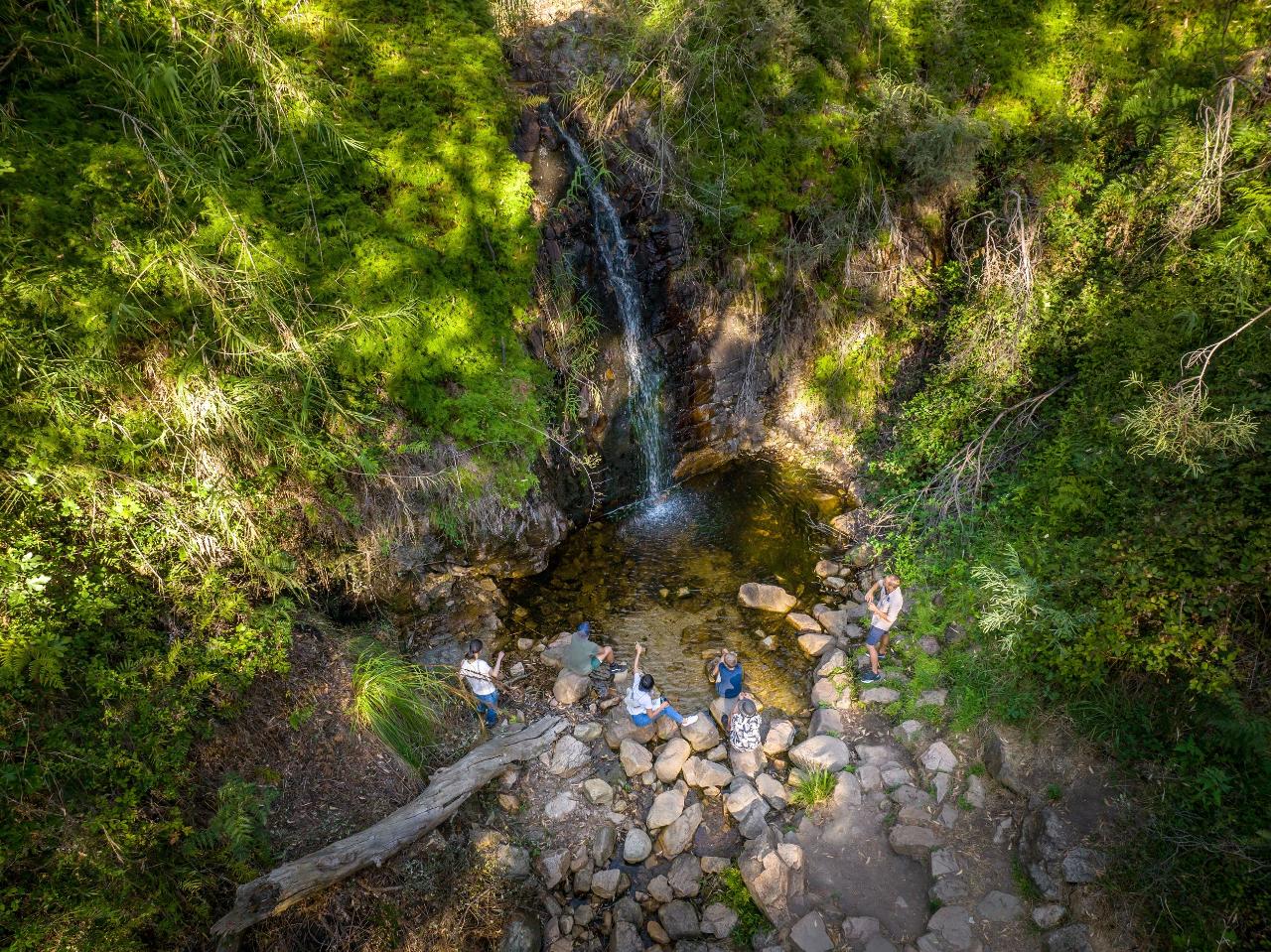 Waterfall Gully Hike