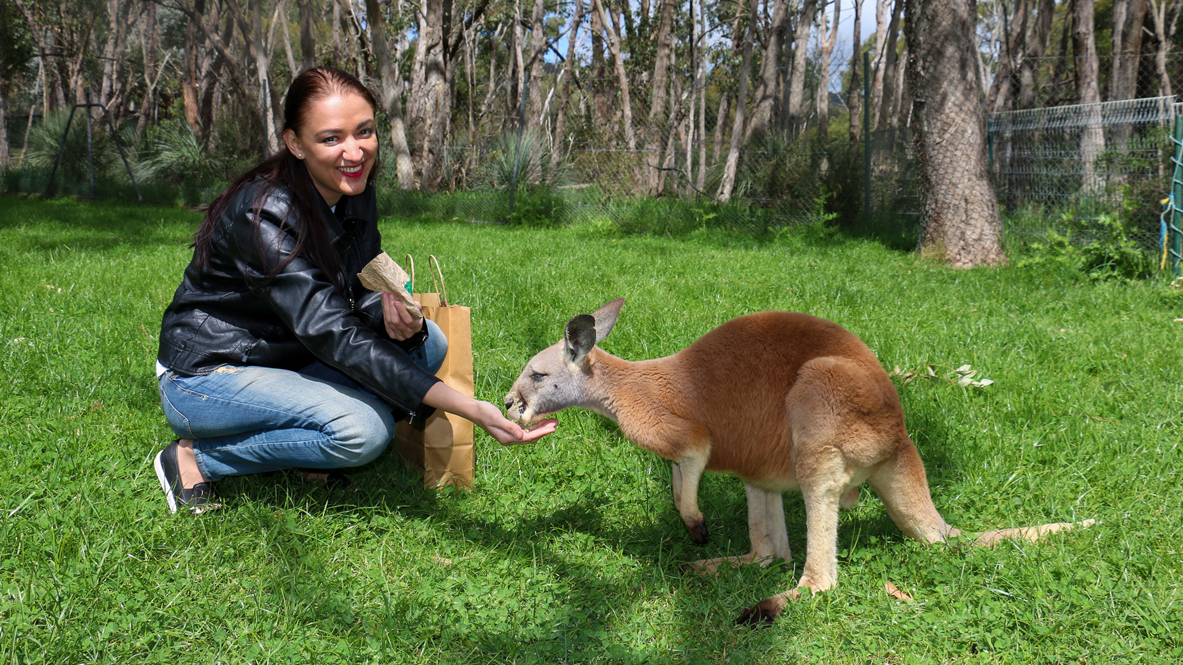 Cleland Wildlife Park Experience
