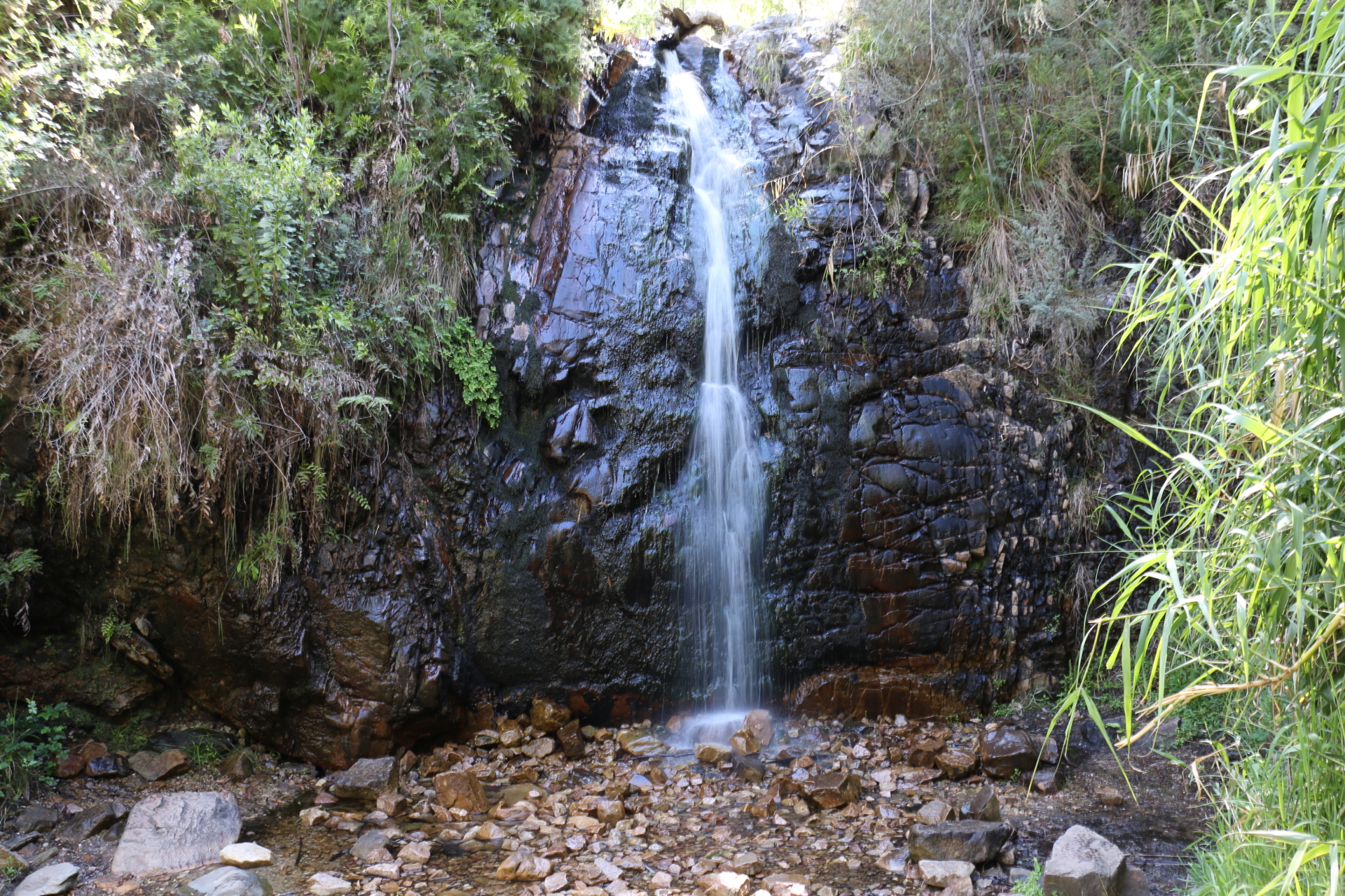 Cleland Hike and Wildlife