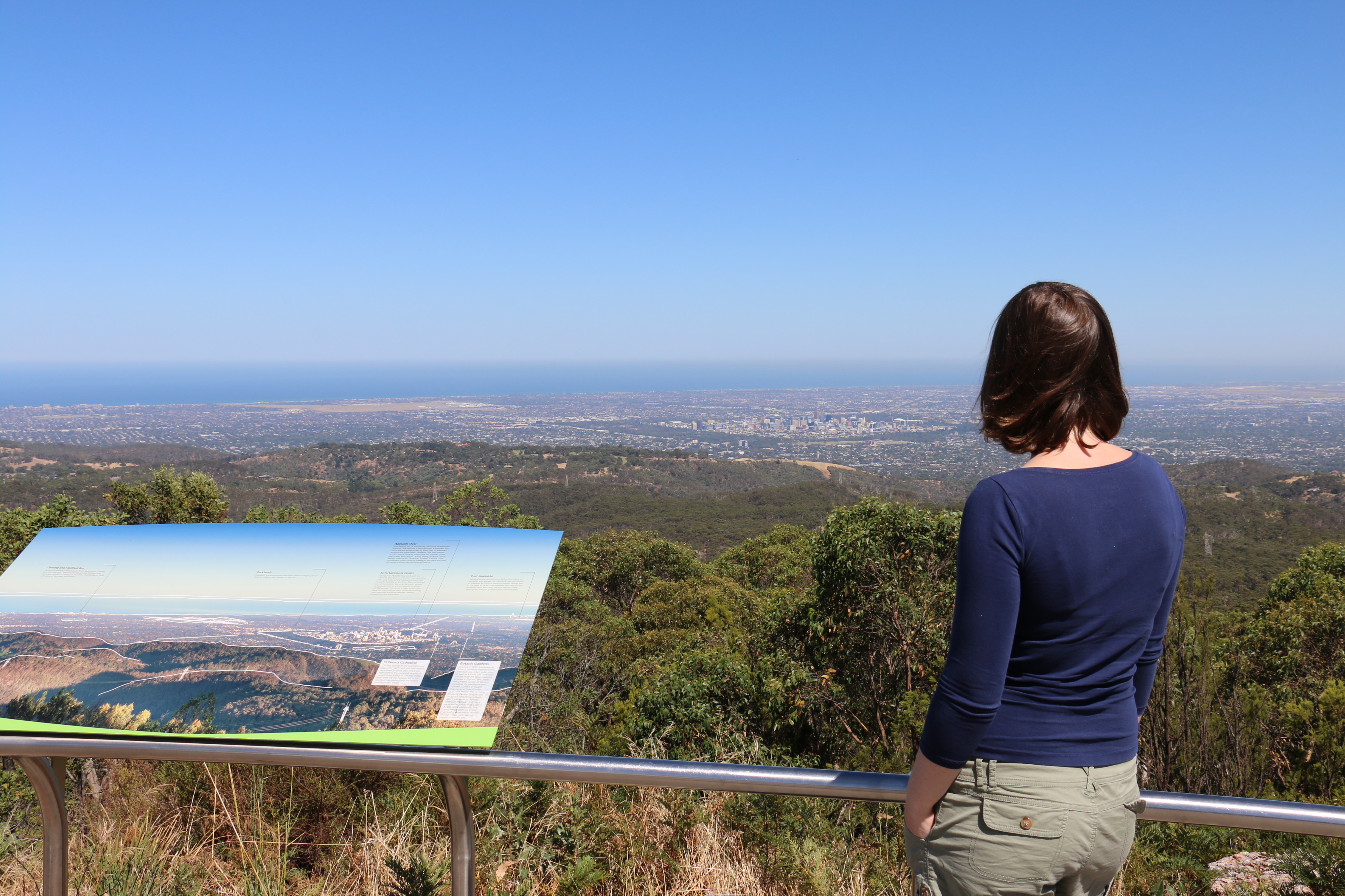 Waterfall Gully Hike