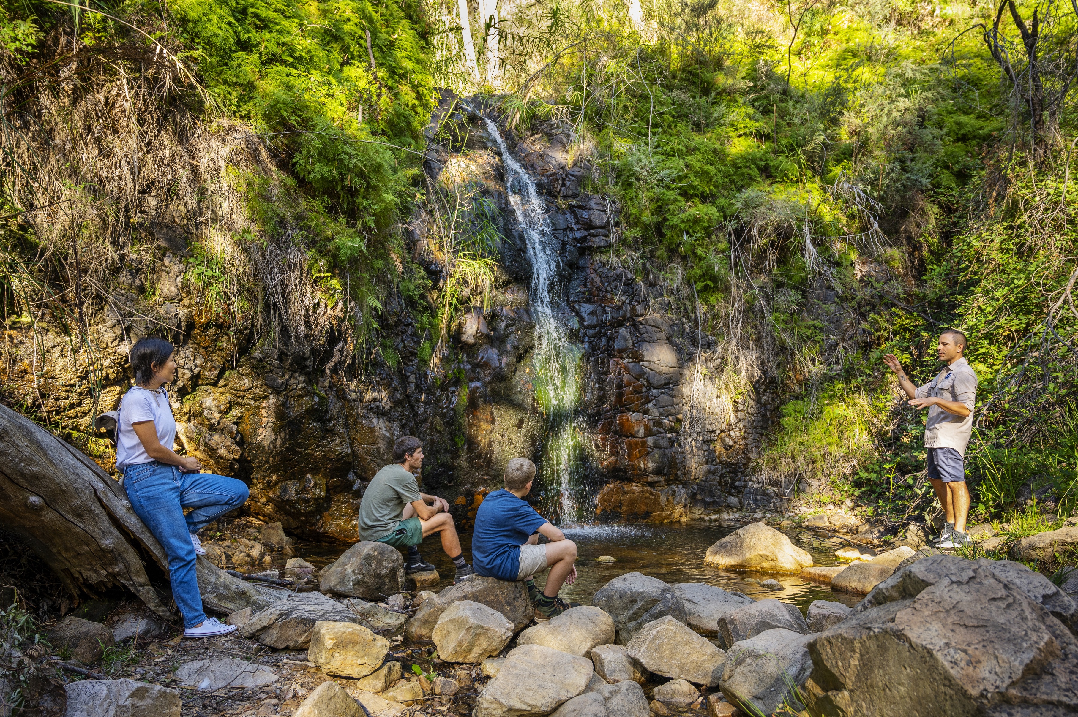 Waterfall Gully Hike