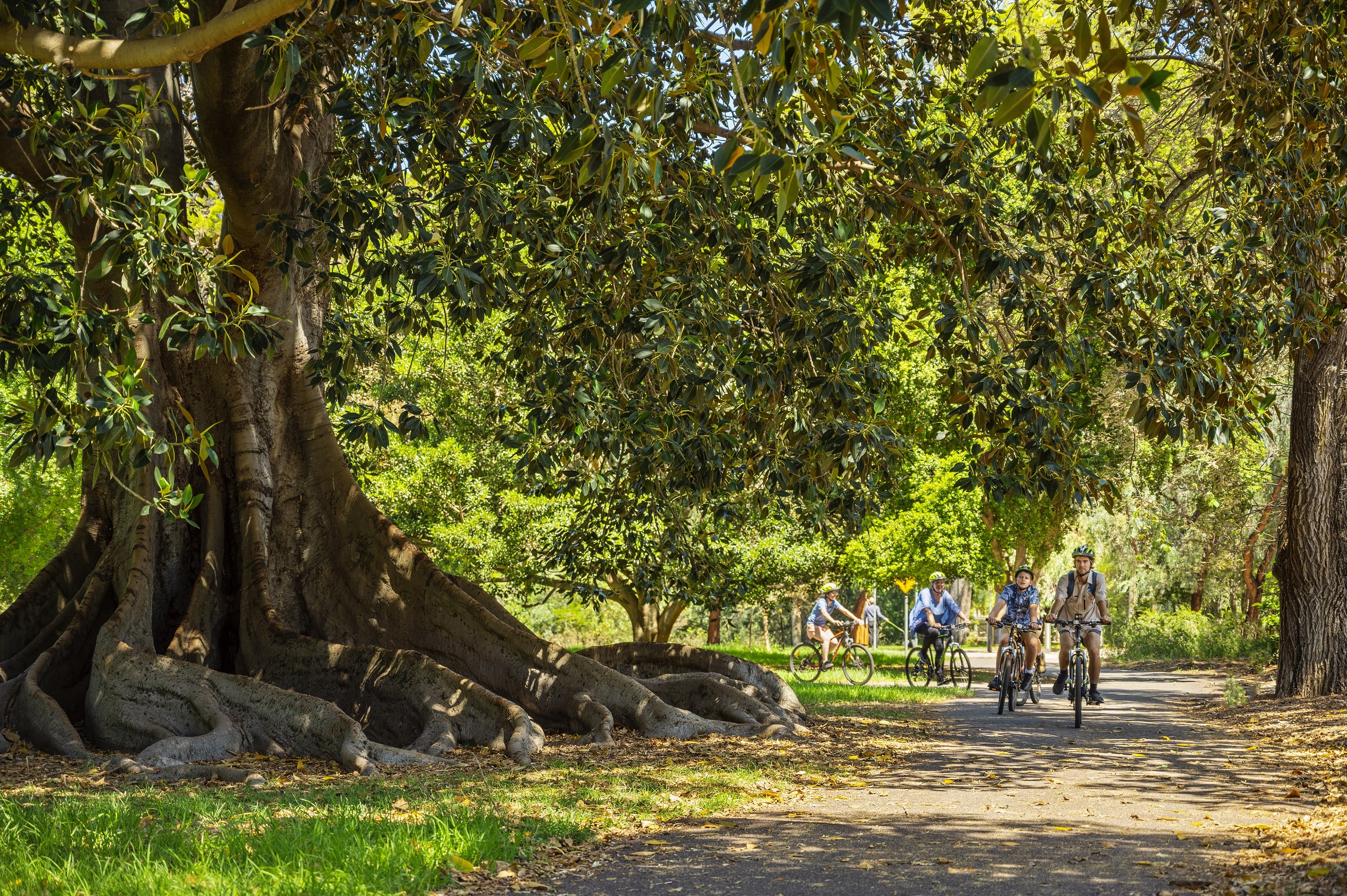 Adelaide City and Parks Bike Tour