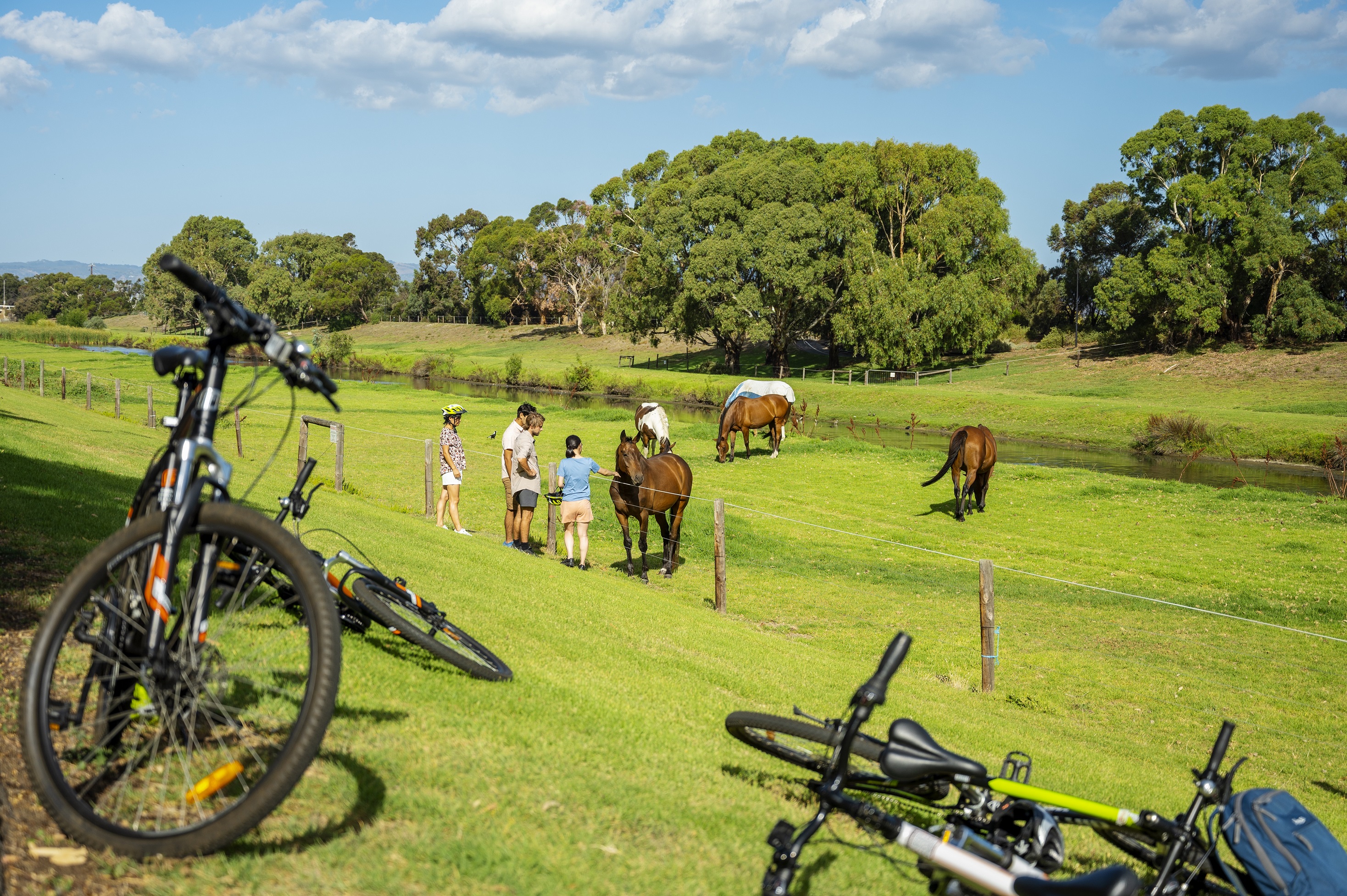Adelaide City to Sea Bike Tour
