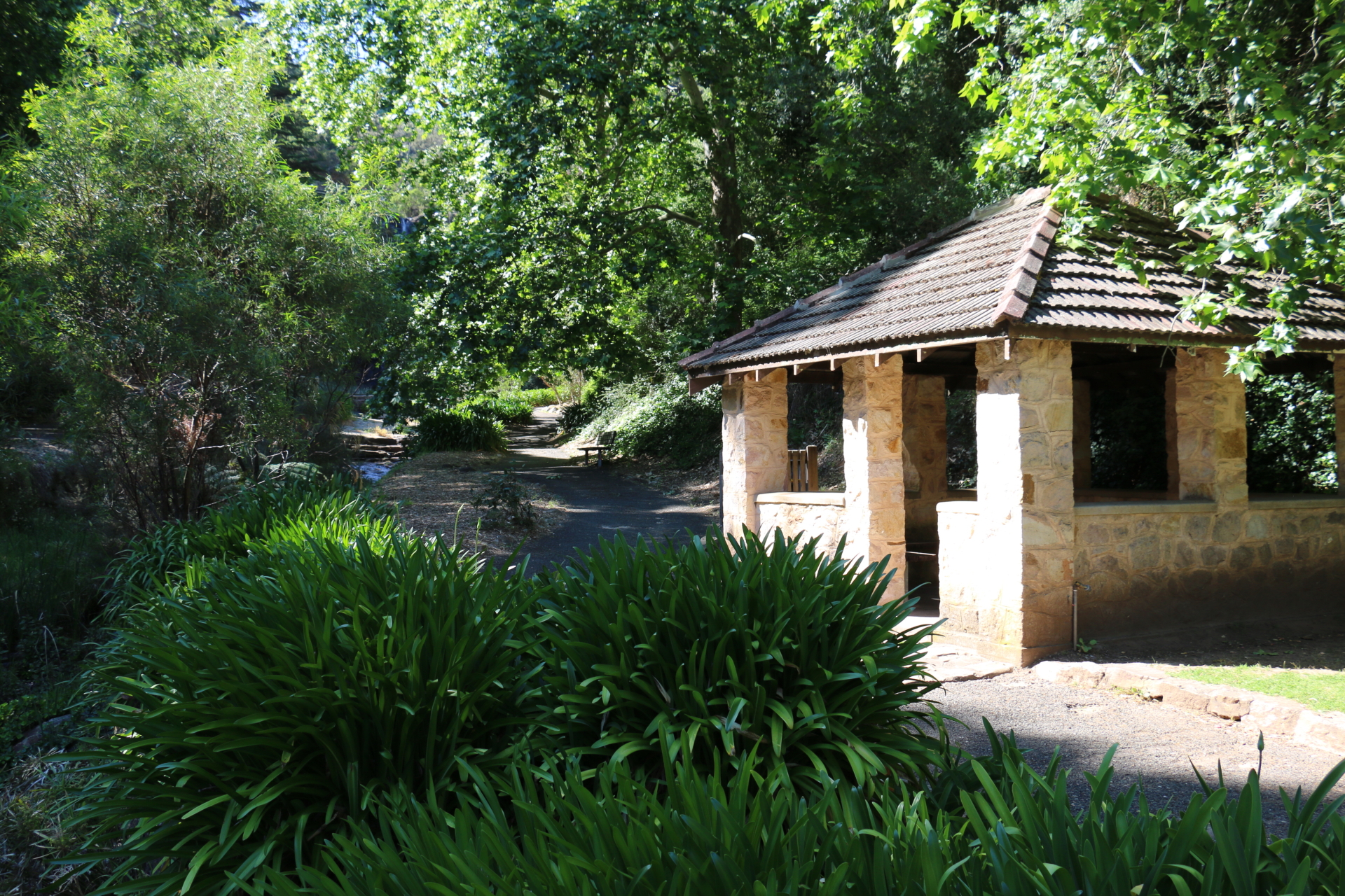 Waterfall Gully Hike