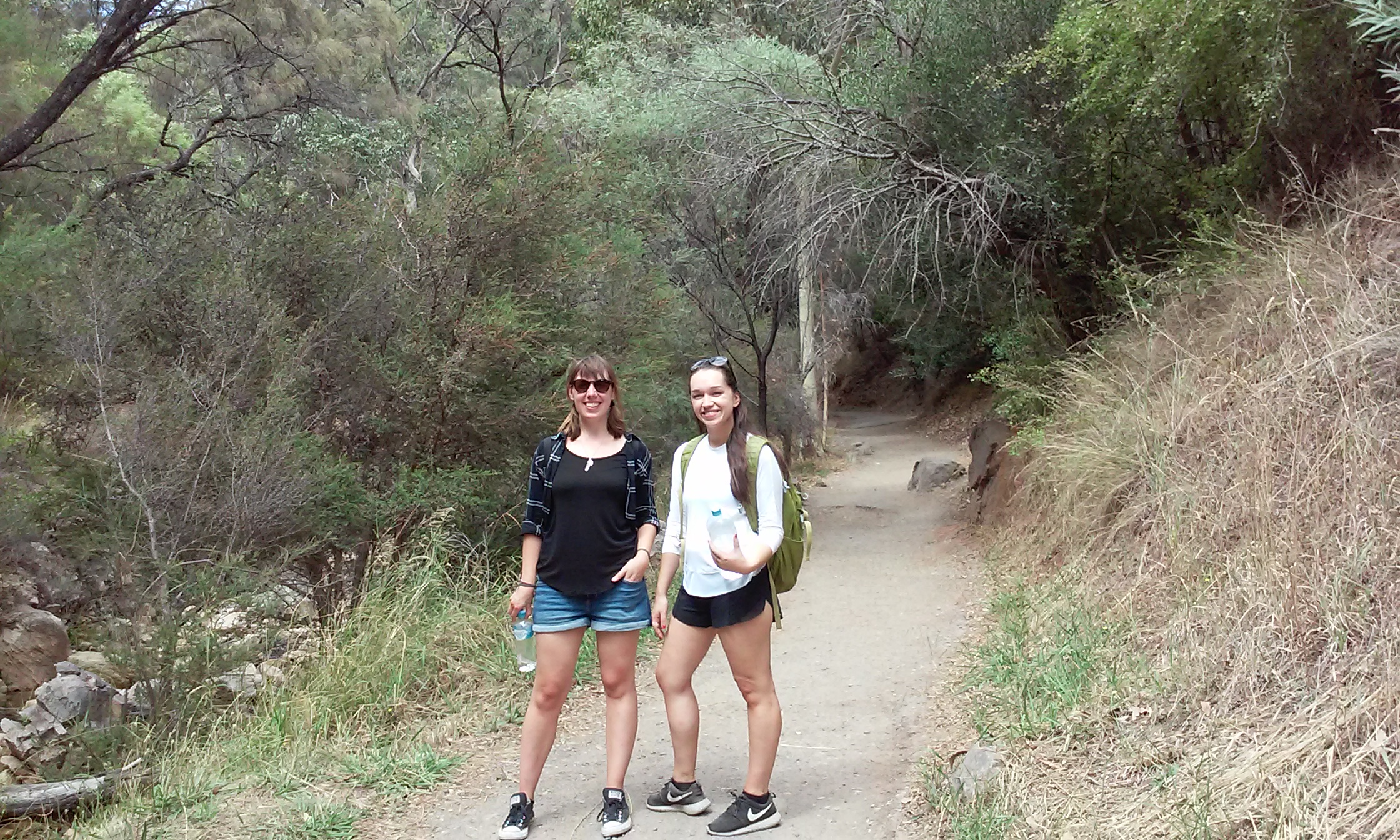 Waterfall Gully Hike