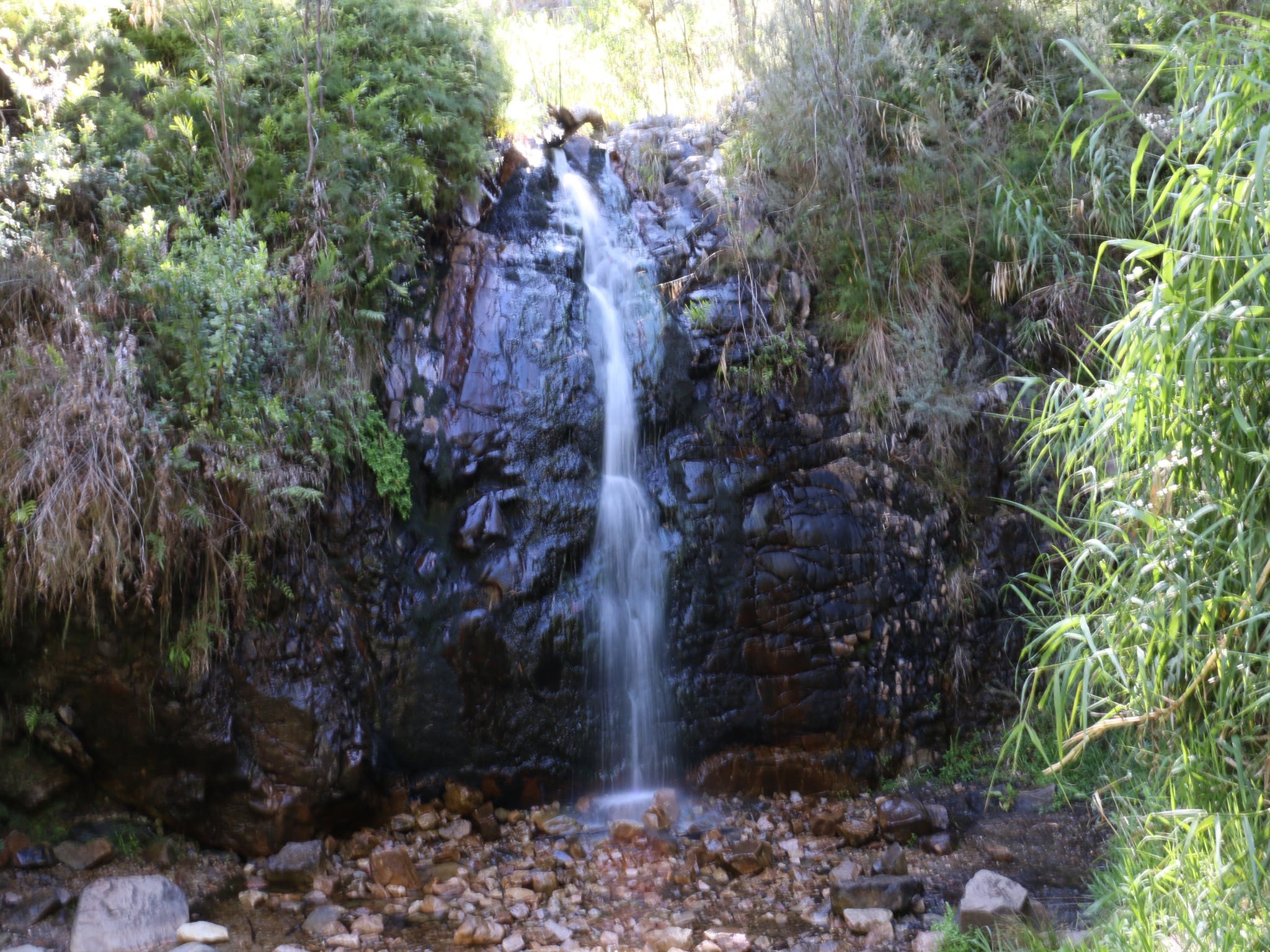 Waterfall Gully Hike